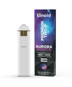 THC-P Rechargeable Disposable – 2 Gram